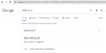 Screenshot of Google search term what's my IP?